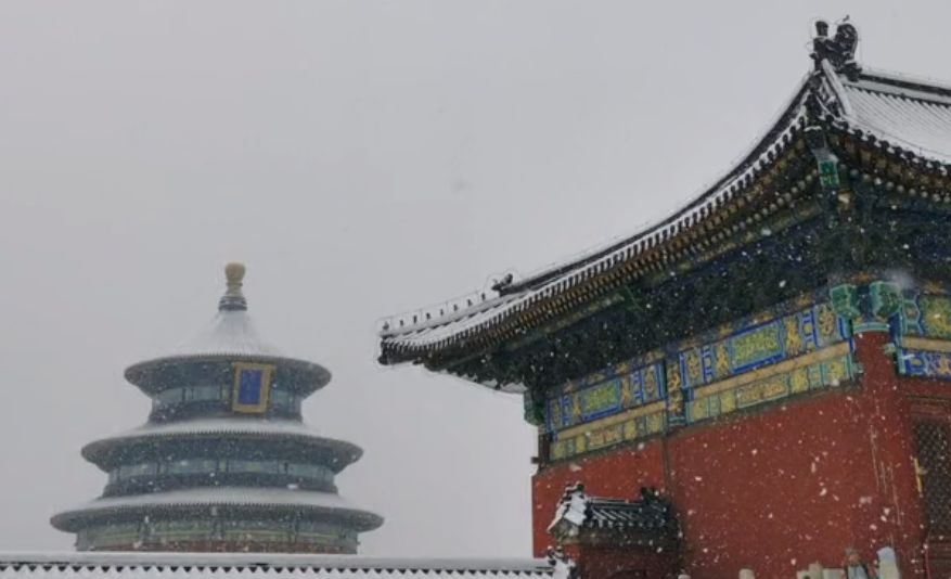 虎年初雪•天坛美景