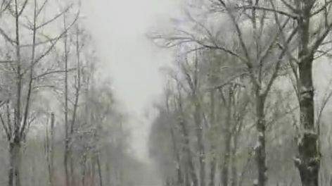 在雪中游走