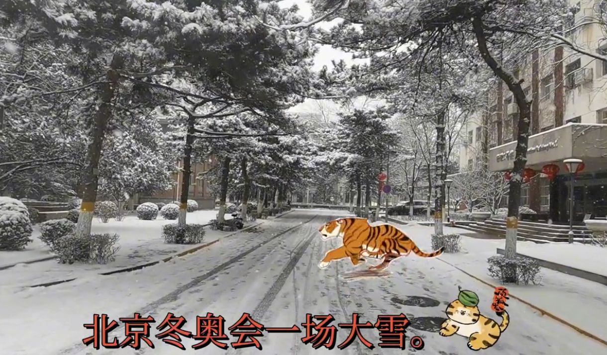 虎年～北京冬奥会精彩