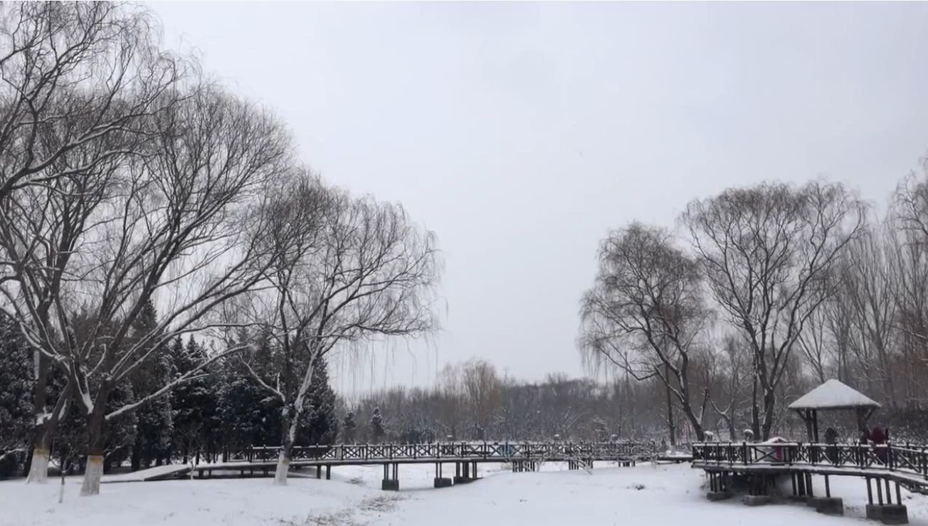 下雪的京郊 变成了北国