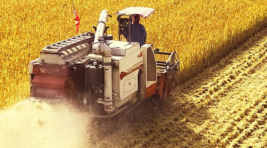 “察实情、办实事、求实效”，这十句话，振奋人心！