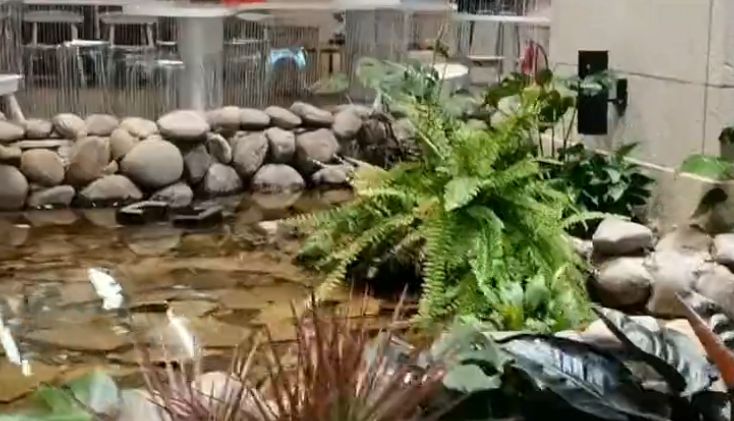 朝阳大悦城里的室内温室