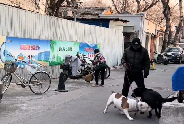 后海胡同里两只狗狗的相遇