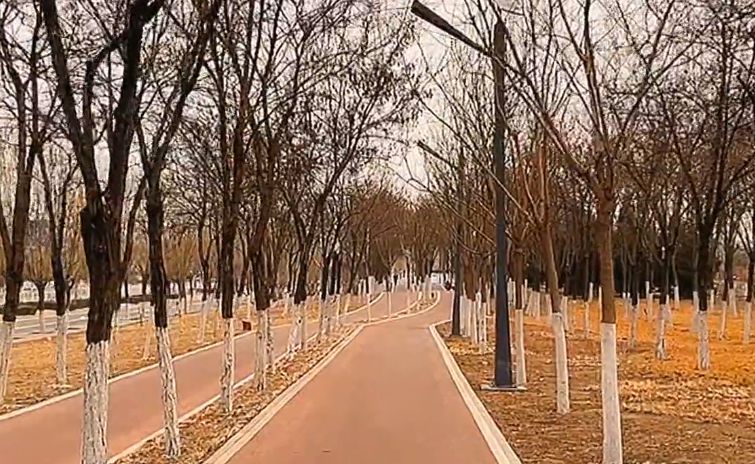 路上风景，感受清晨的宁静美好