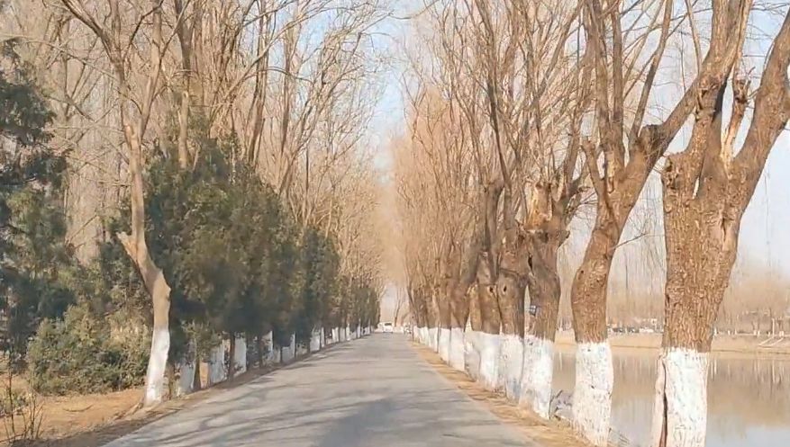 翠湖边上滨河路，风景迷人