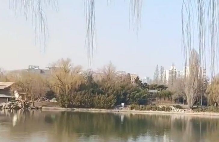 紫竹院，竹林飞鸟，雅石亭阁，湖水相连的地方