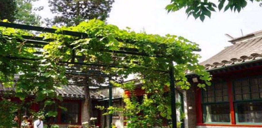 难忘的胡同岁月