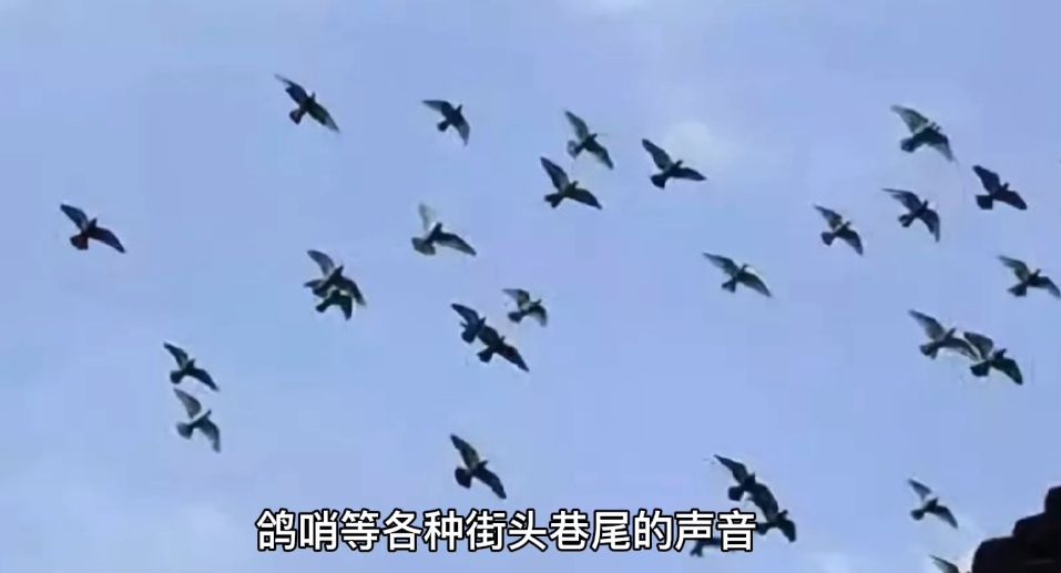 爱上北京的一百种理由