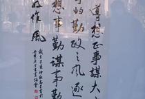 大屯文化广场见闻录