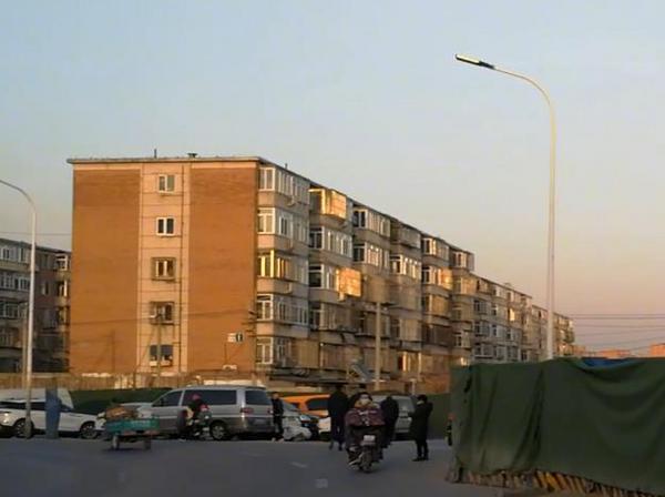 太平庄北街实拍：打牌、溜狗、放风筝