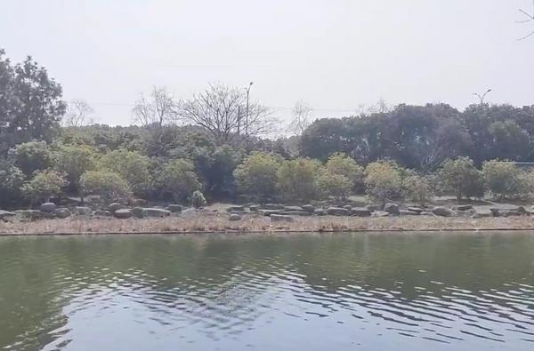 亲近大自然，感受美好