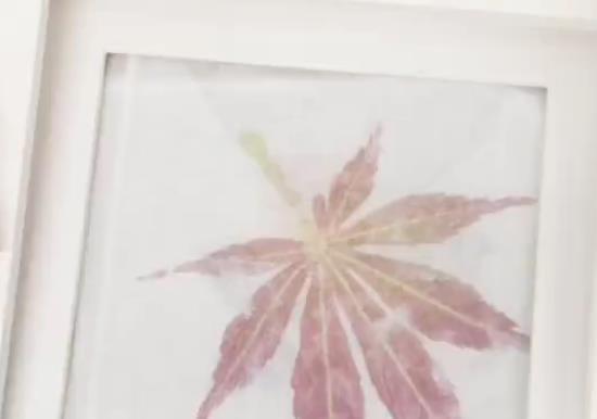 敲拓染-留住植物本来的样子