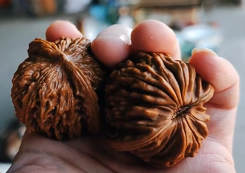 万物皆可盘 老北京鸣虫文化