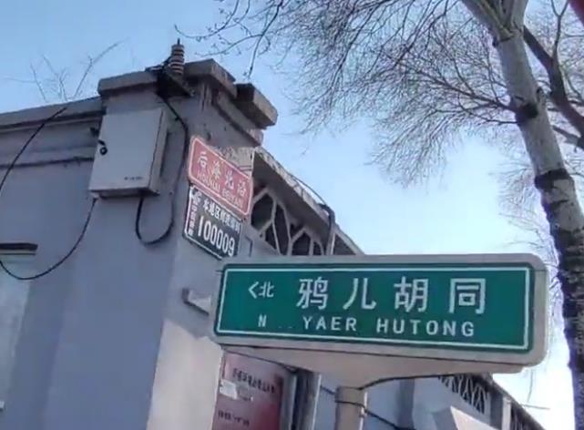 逛北京什刹海 景色太美