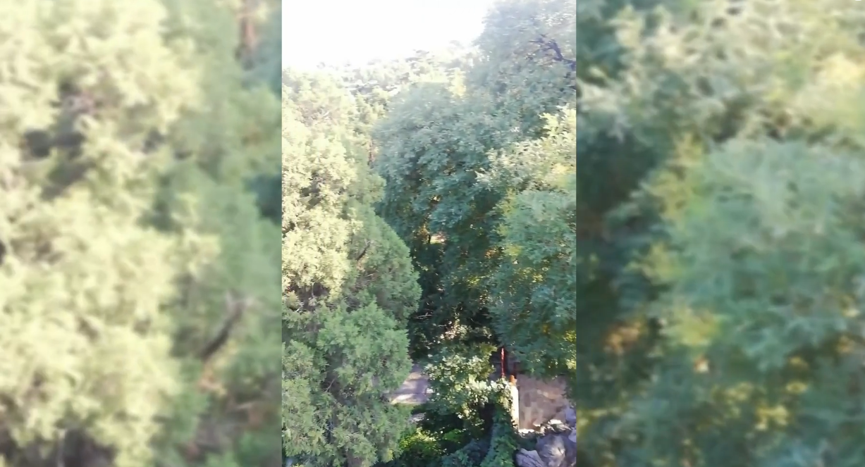 北海公园夏日景色