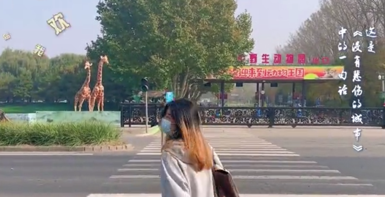 北京动物园游记，小动物们都好可爱啊