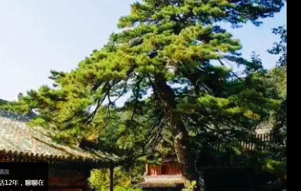 感受北京12年变化