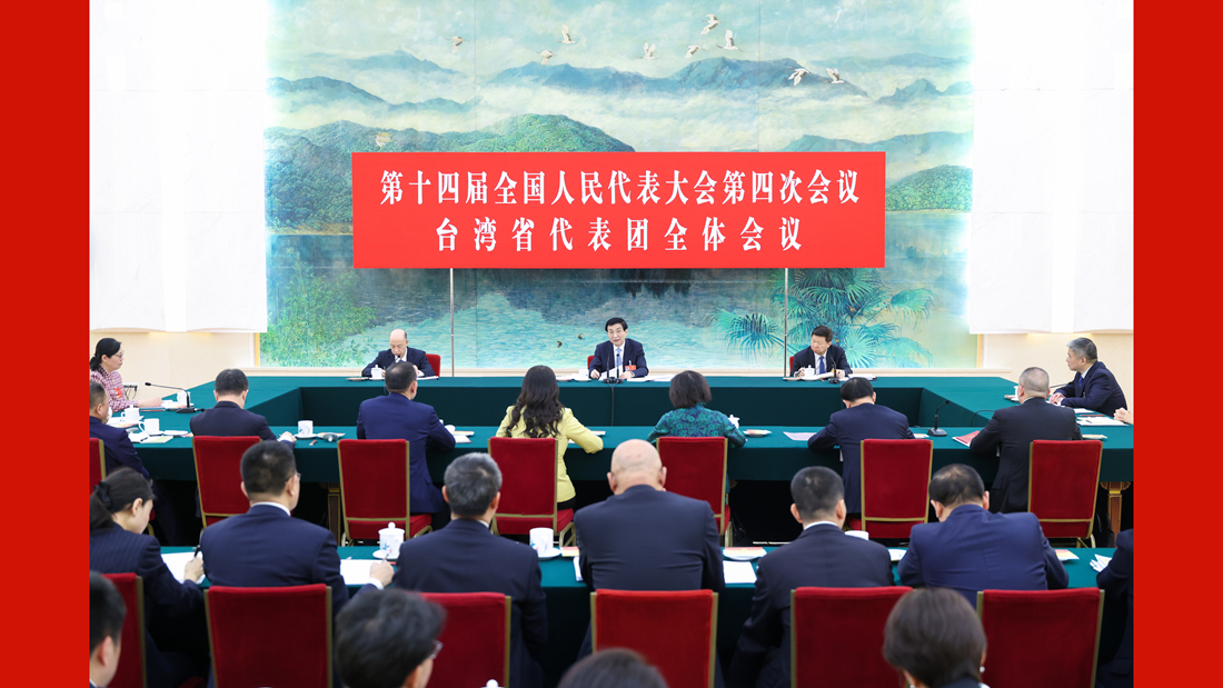 王沪宁参加台湾代表团审议