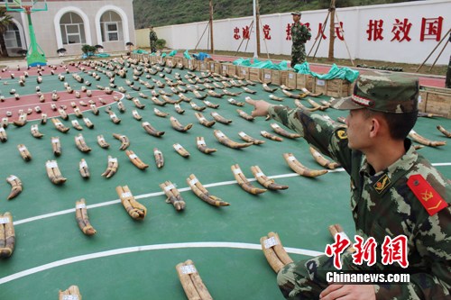 �����ƻ��ش�Ƿ����������� �߰������ֵ����Ԫ 