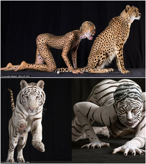 ������Ů�ʻ��Ұ��������ӰЧ������������ͼ��