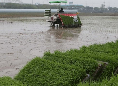 韩国城乡收入差距逾两千万韩元创历史新高