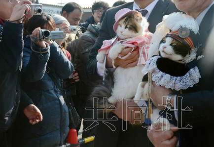 �ձ�è��վ����������8�����������ܲá���ͼ��