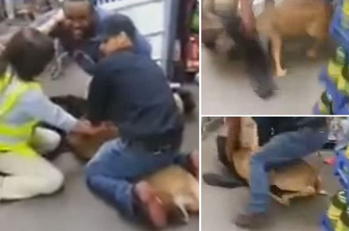 ����һ��¹���ֳ���Ա���˿ͺ��������Ʒ���ͼ��