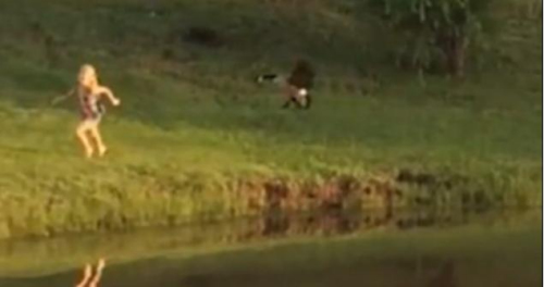 Ů�����׷����ְ������������ϵ������ֻ���ͼ��