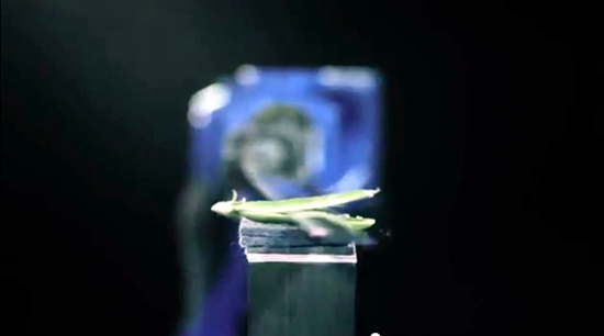 日本机器人与大师比拼绝技一刀切六个橙子(图)