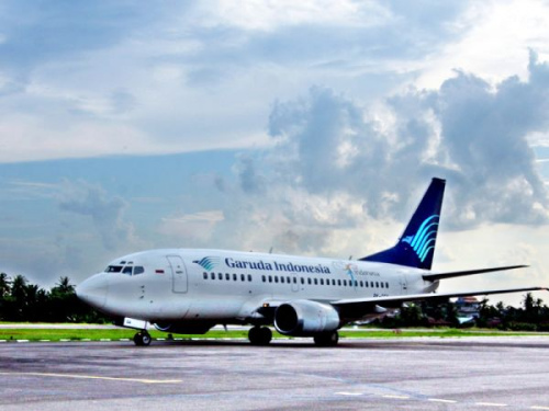 印度尼西亚航空一客机因蜜蜂躲藏延误起飞4小时