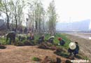 ͼ�����񳲡��ܱ߼ӽ�ֲ��  