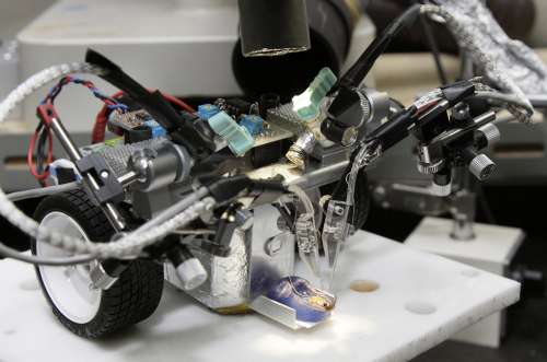 科学家研发 改造人 技术可用意念控制机械四肢