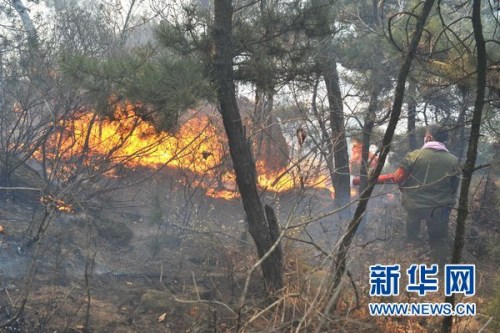 北京军区2000名官兵驰援河北抚宁救火一线图