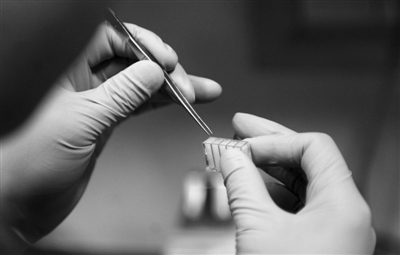 ��˴��ص�����̫���С��ᾧ������ʵ������