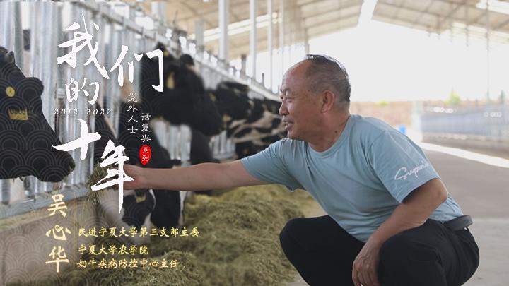 吴心华：大学教授为农户医牛被誉为“牛教授”