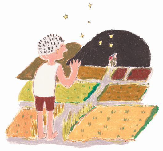 ˮ���������