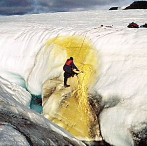【科学探索】北极住着外星人的亲戚?科学家惊