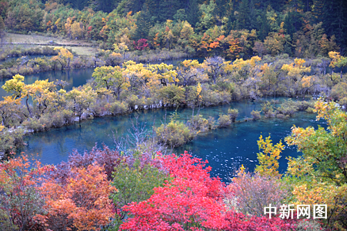 导游:现在来九寨沟旅游,是雪中送炭--中新·时