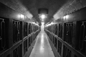 温州私人存酒窖安保等级堪比银行保险柜