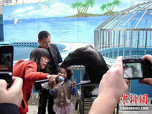 �ϲ�����԰Υ��趯�����Ӫ��  ������ֹͣ