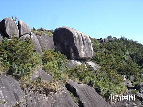 浙江首届森林旅游节五月“聚焦”浙闽两省交界