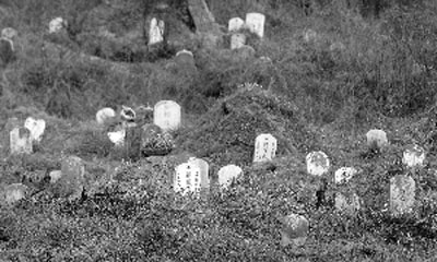 南京望江矶烈士墓地被征用 70位先烈无处安身