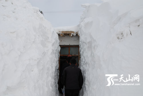 新疆塔城雪灾实录:白铁克村房前打通半米路(图