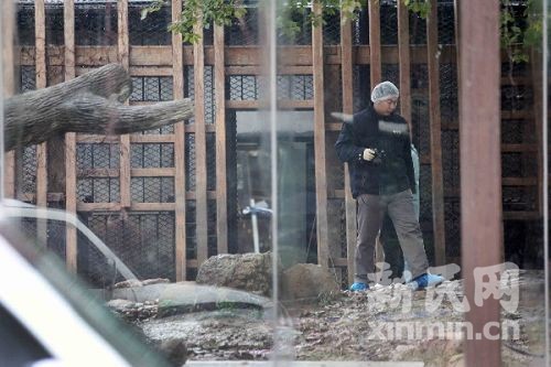 闁绘劗鎳撻崵顕€宕堕崜褍顣婚柛娆樺灠濠€顏堝棘閹殿喚宕堕柛娆欑稻婢э箑顕i埀锟�