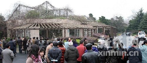 闁绘劗鎳撻崵顕€宕堕崜褍顣婚柛娆樺灠濠€顏堝棘閹殿喚宕堕柛娆欑稻婢э箑顕i埀锟�