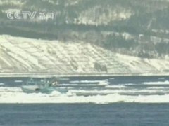 中新视频-尹卓少将:俄副总理登岛重申历史定论