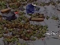 中新视频-违规租车送孩子上学 非个别现象