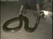 4�׶೤����ҹ�δ��