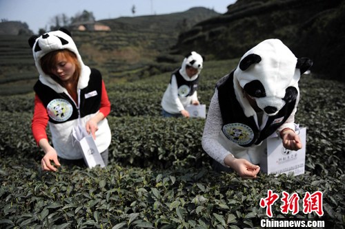 点图查看下一页