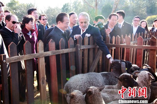 点图查看下一页